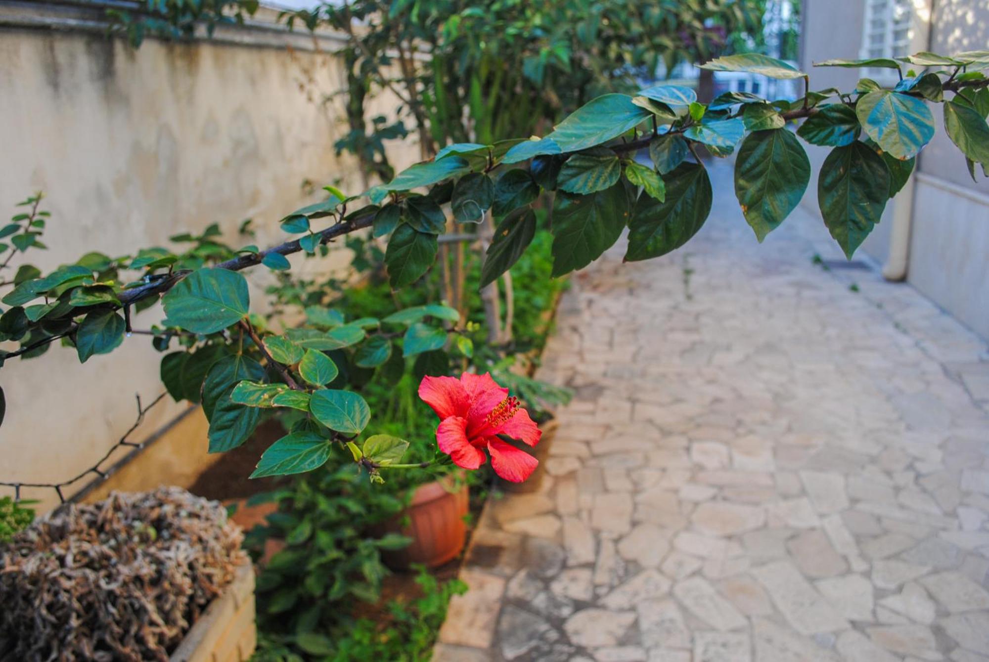 Villa Magnolia Con Giardino Bari Exteriör bild