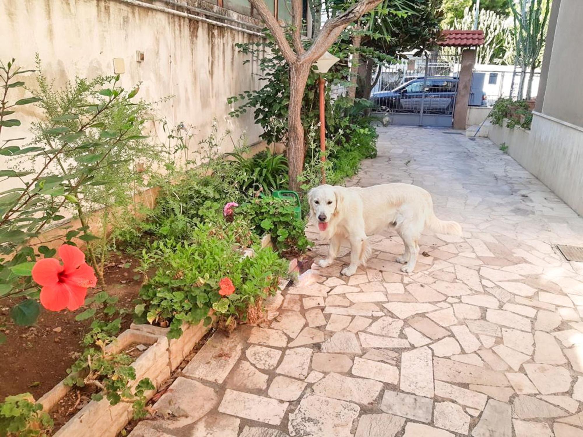 Villa Magnolia Con Giardino Bari Exteriör bild