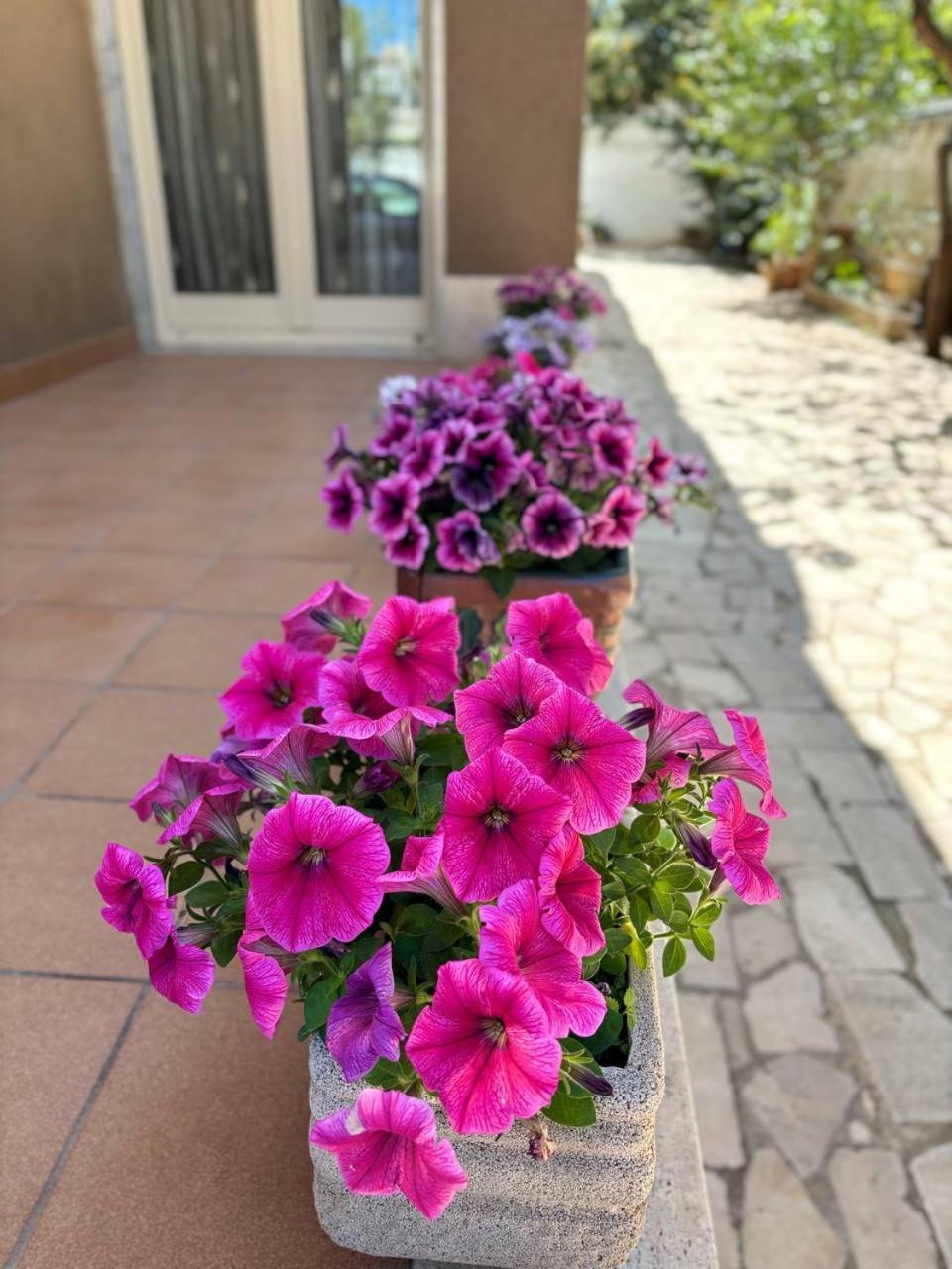 Villa Magnolia Con Giardino Bari Exteriör bild